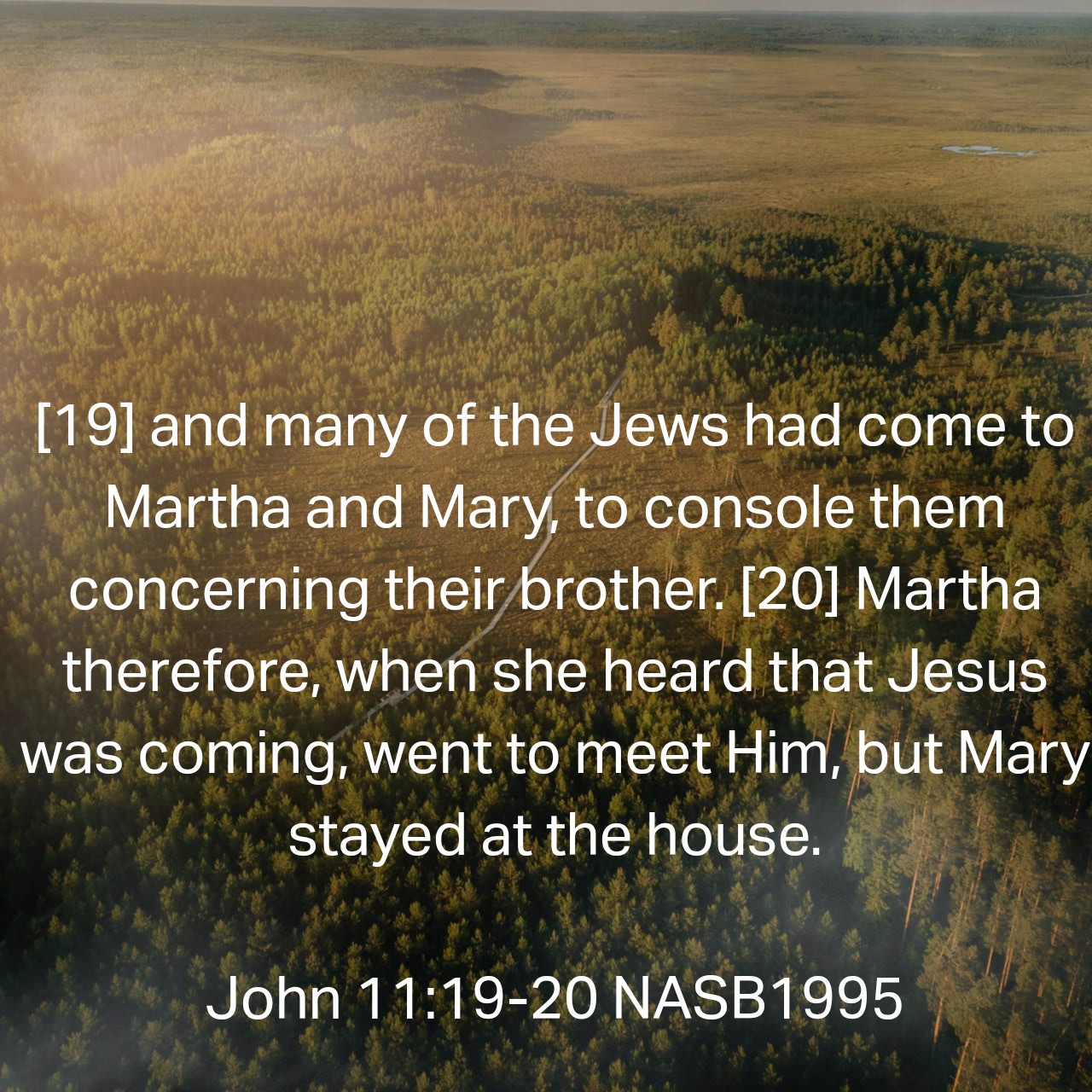 Day 153: But Mary Stayed at the House